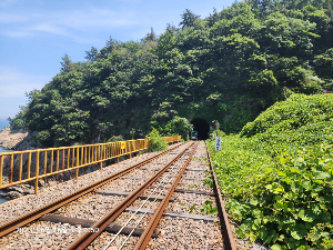 여수 가볼만한 곳 추천 관광지 여수 해양레일바이크