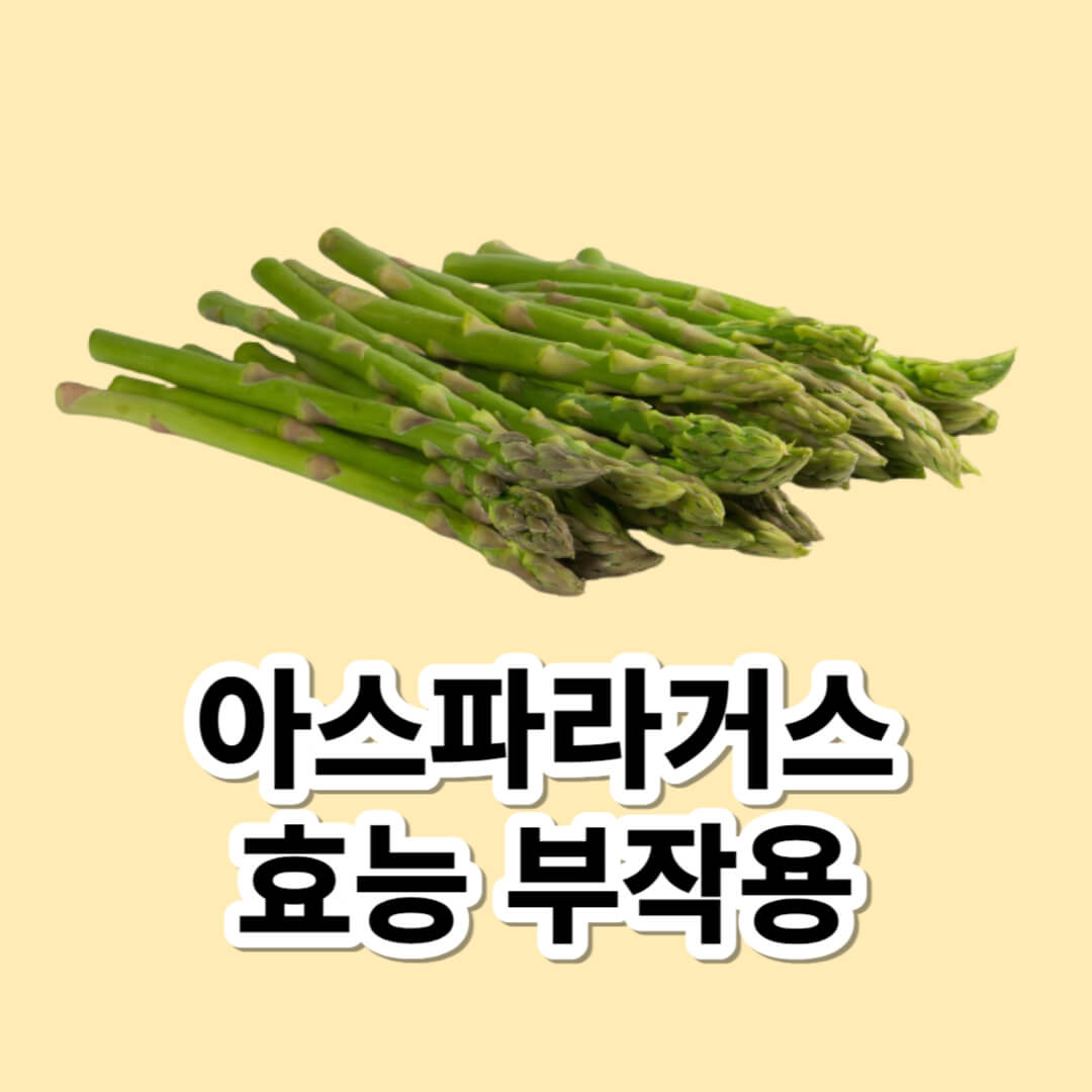 아스파라거스 효능 부작용