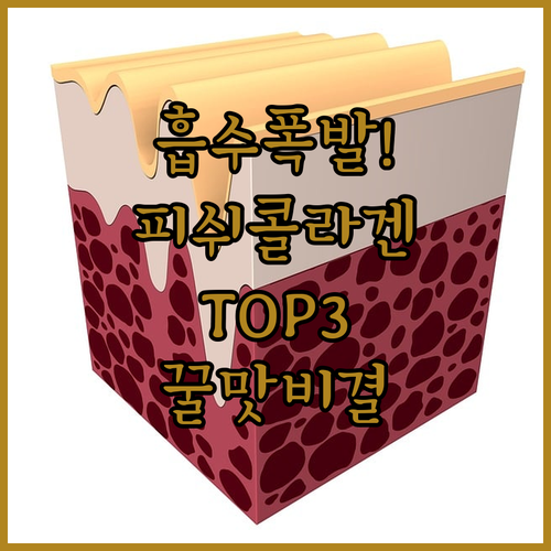 흡수 빠른 저분자 피쉬 콜라겐 추천 ..