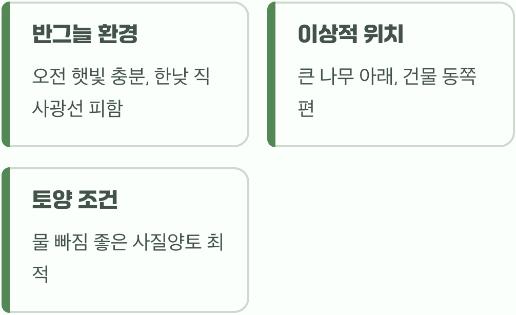 어디에 심어야 잘 자랄까?