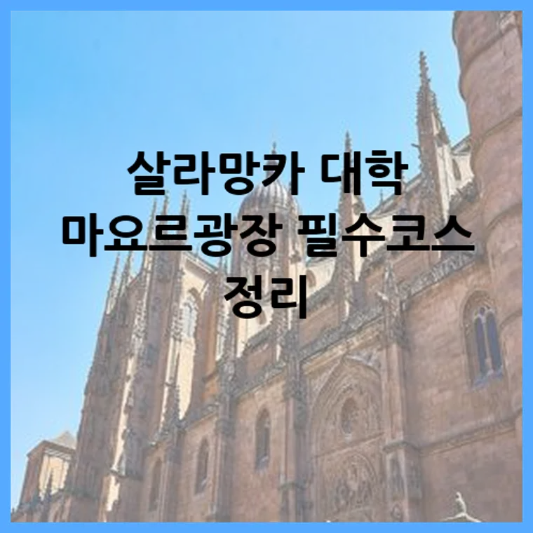 살라망카 대학 마요르광장 필수코스 정리