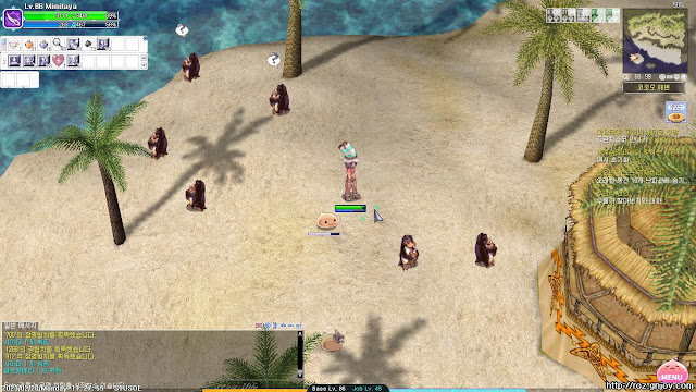 노란허브 노가다