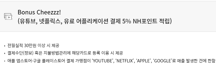 라이언치크체크카드 주요서비스