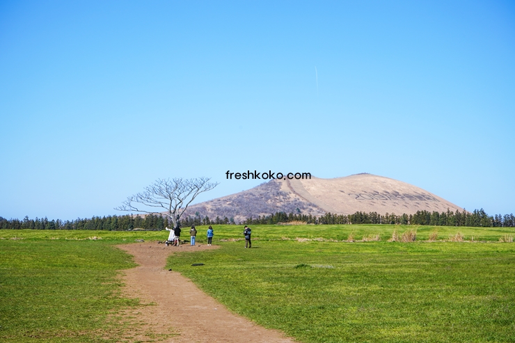 제주도 가볼만한곳 10곳