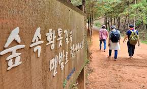 맨발걷기 운동