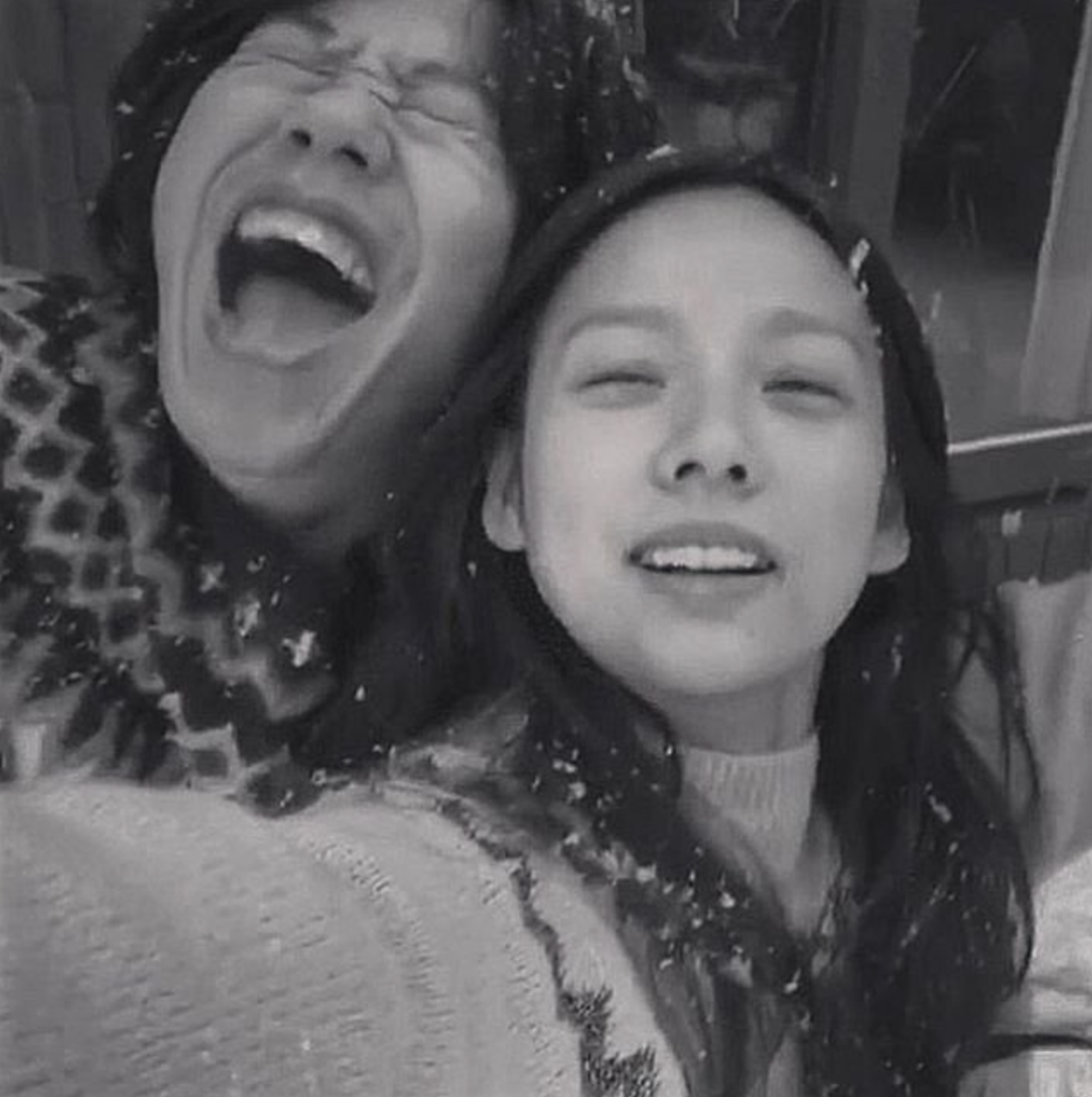 이상순 이효리 제주도