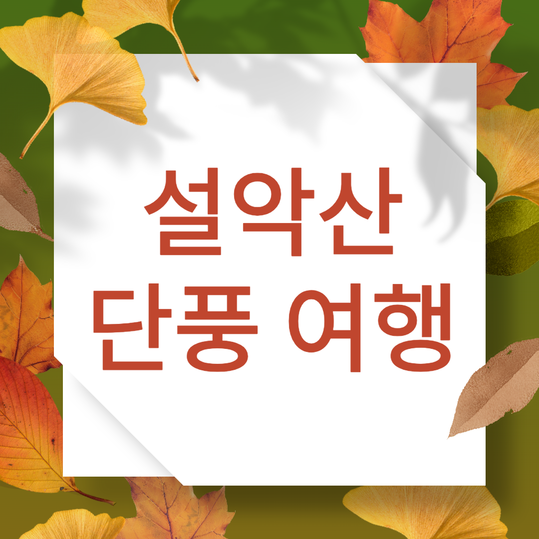 설악산 단풍여행