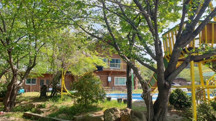 우리 캠핑 왔어요 엄마의 소원을 이뤄주는 포항 모녀 캠핑 수제비 맛집, 캠핑요리 가리비 구이 파는 곳, 패러글라이딩 체험, 전망대, 캠핑장 가볼만한 곳 추천
