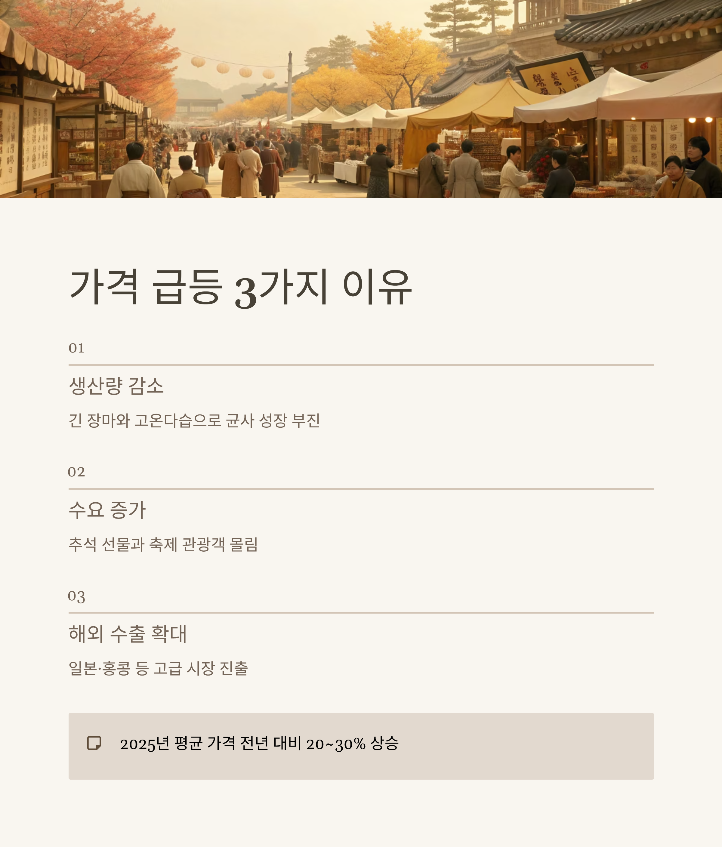 양양 송이버섯 가격 2025 실시간 시세|올해 왜 이렇게 비쌀까? 산지 직송 정보 총정리