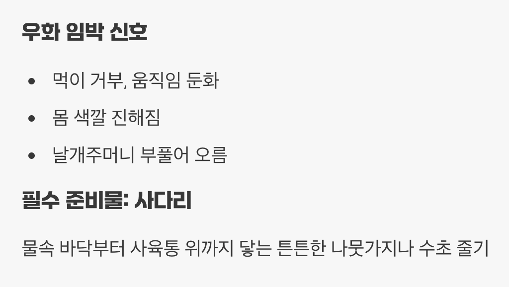 기적의 변신&amp;#44; 우화 준비하기