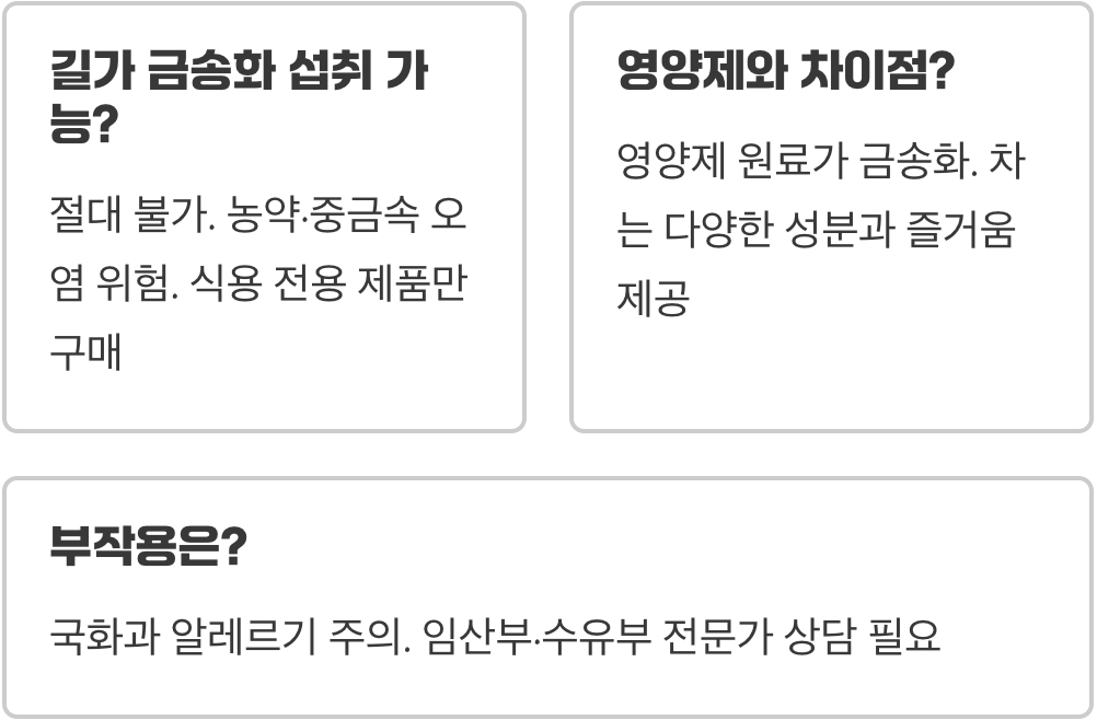 눈 건강 지킴이, 루테인이 풍부한 금송화의 효능