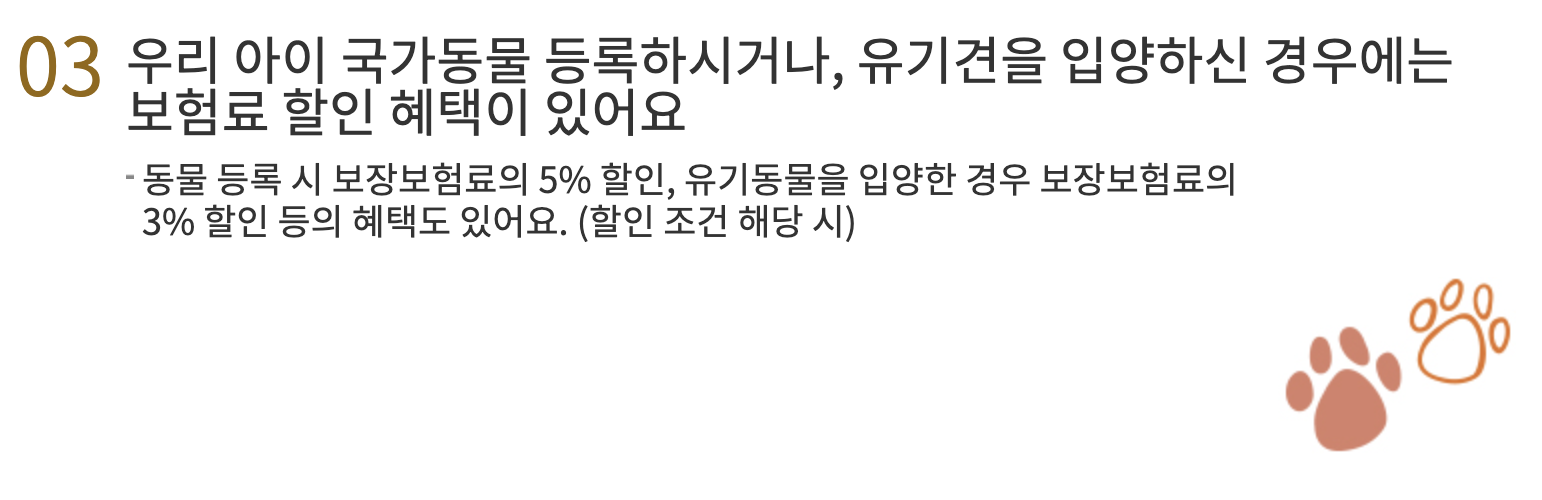 KB손해보험 보험혜택