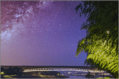 울산 태화강 국가정원 주차장 주차요금 정보 총정리