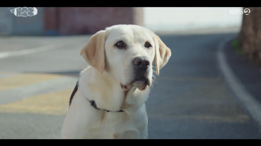 소피 더빙 역할 배정남