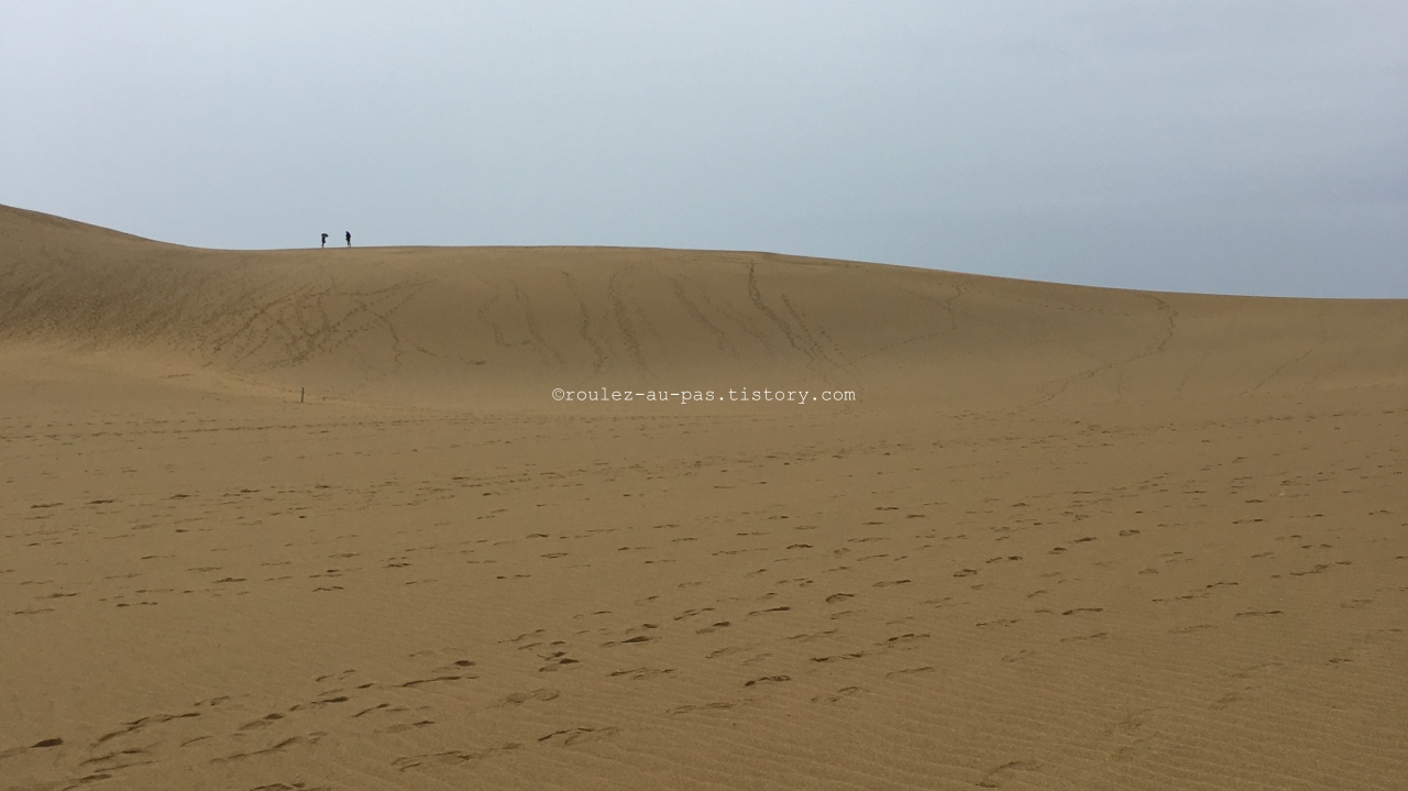 TOTTORI-SAND DUNES