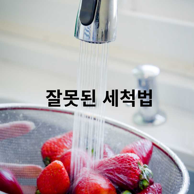 과일별 세척법 총정리