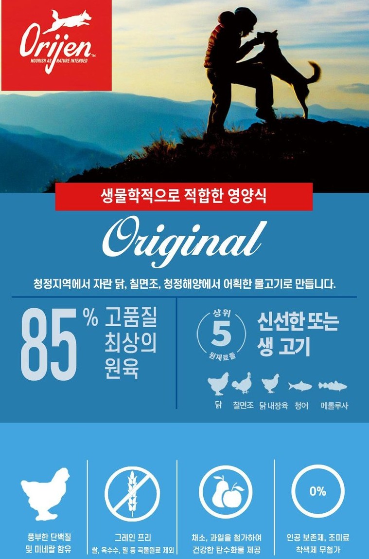 강아지 사료 추천