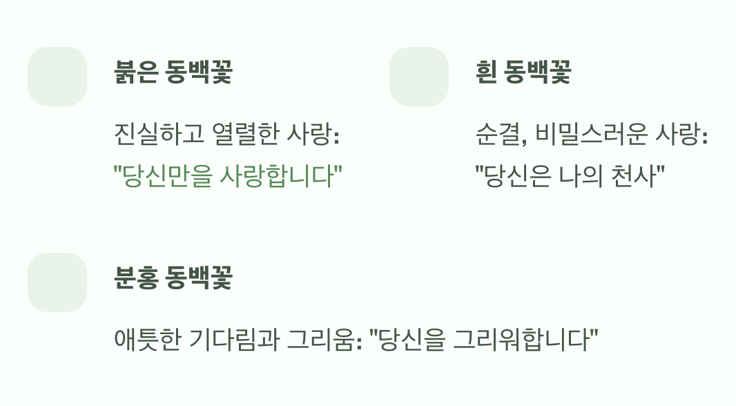 색깔에 담긴 섬세한 마음의 언어