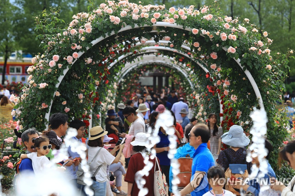 곡성장미축제