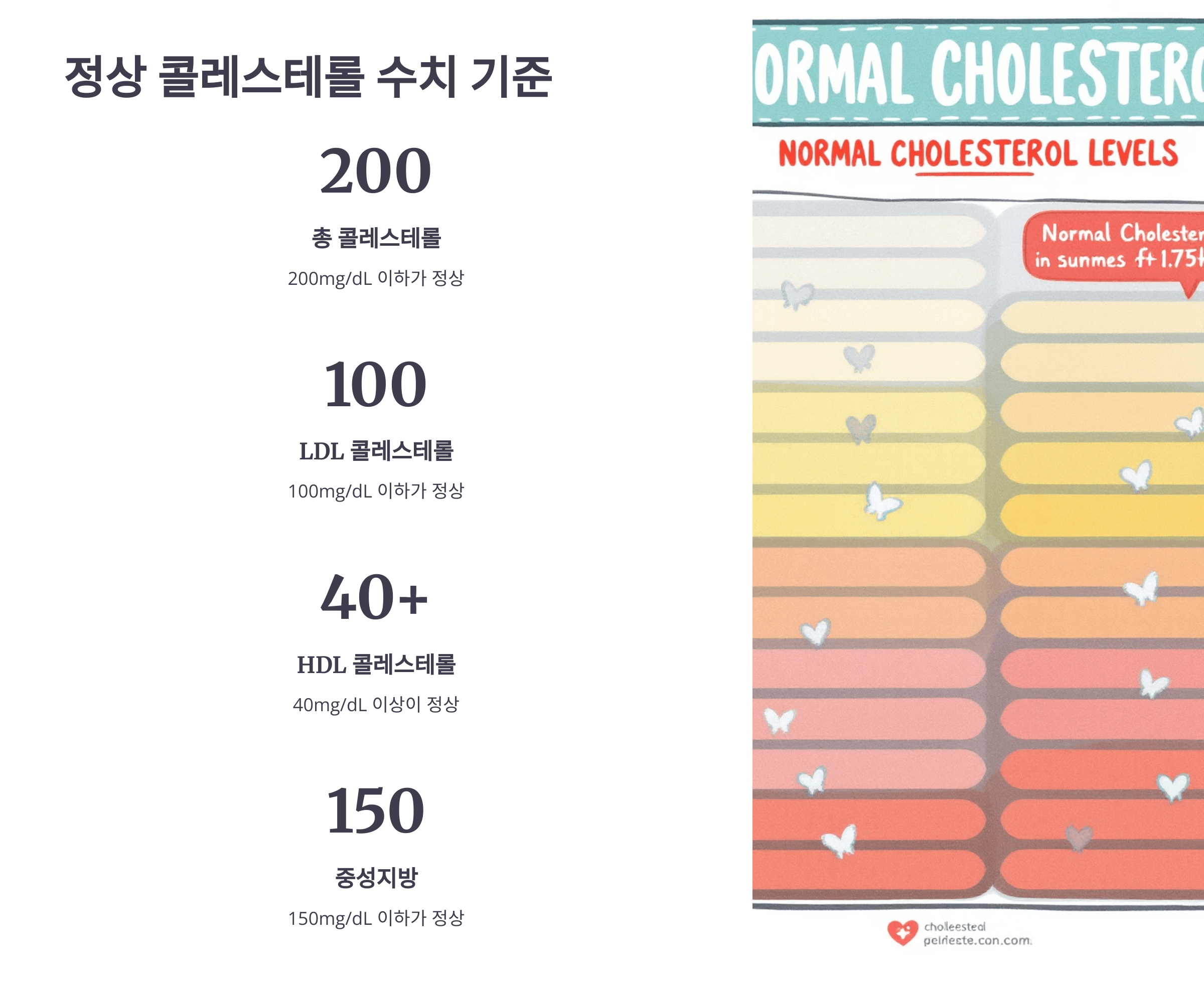 콜레스테롤과 관련된 사진입니다.
