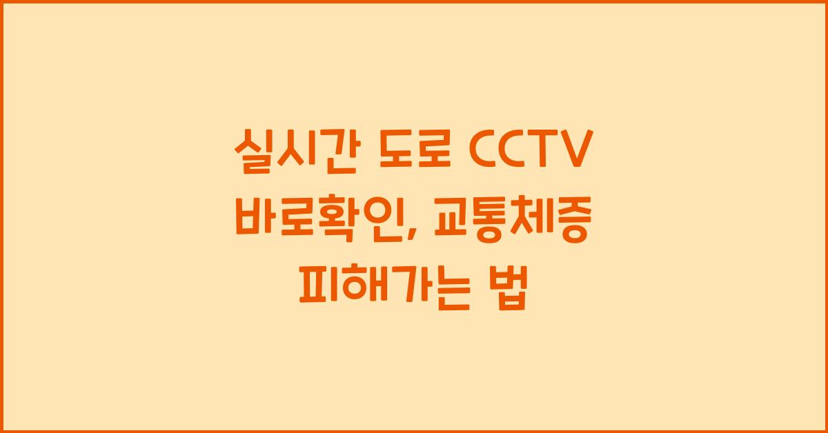 실시간 도로 cctv 바로확인