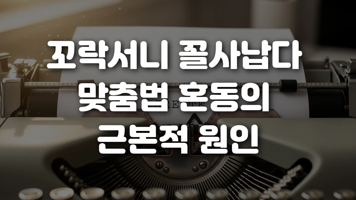 꼬락서니 꼴사납다 맞춤법 혼동의 근본적 원인