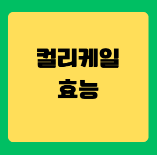 컬리케일 효능과 건강에 좋은 이유