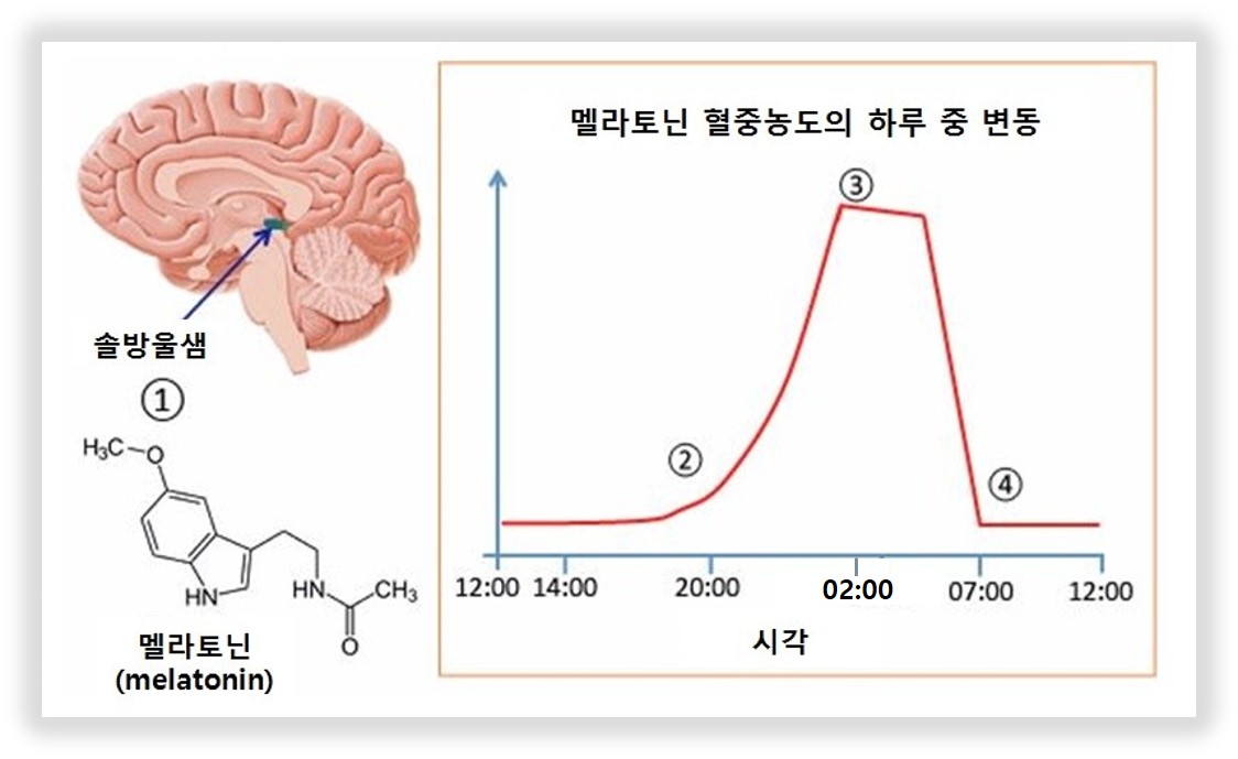 마이크로바이옴