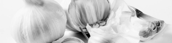 마늘 수확시기, 마늘 수확 적기: 홍산 마늘