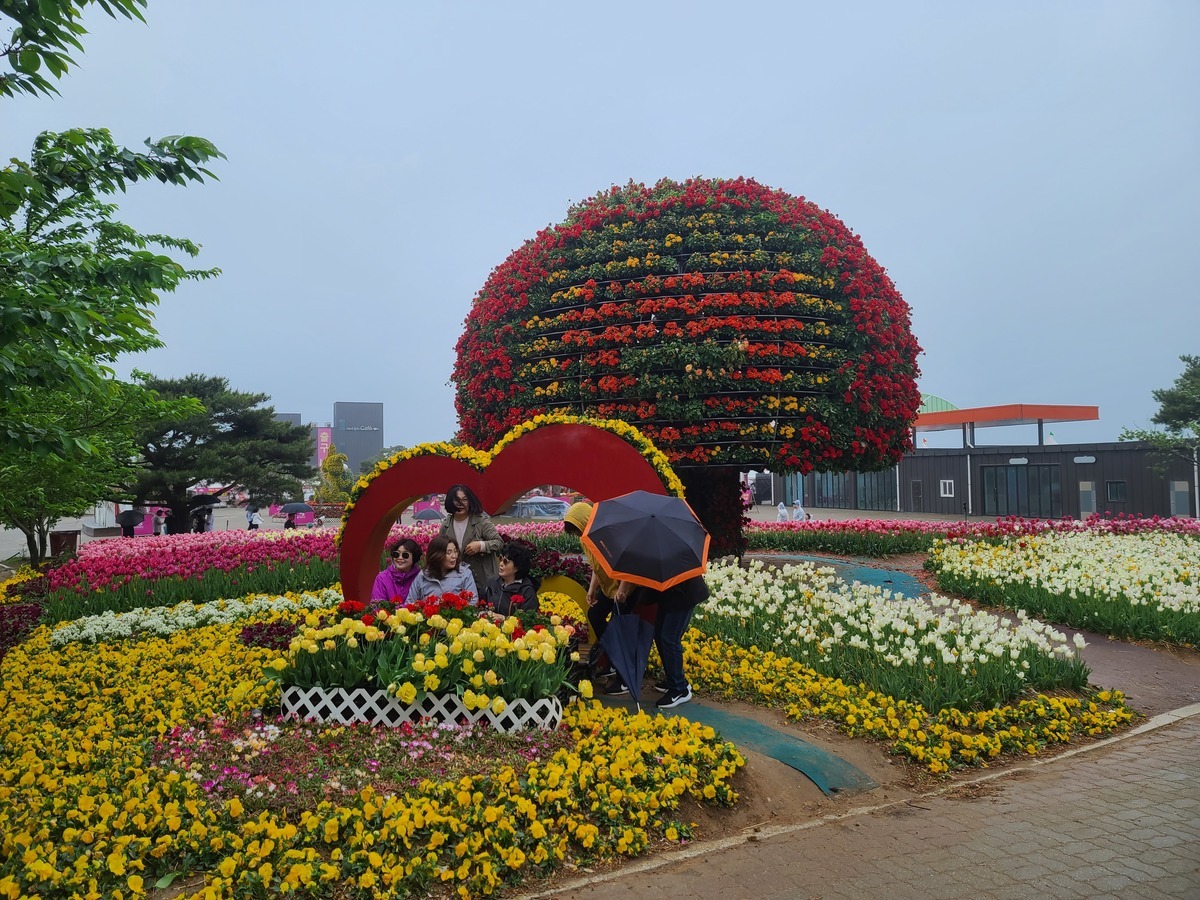 태안 세계 튤립꽃박람회11