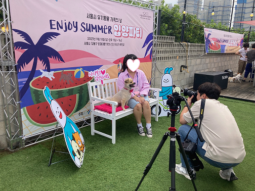 서울시 유기동물 만남의 날