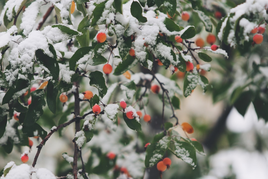 Winter.