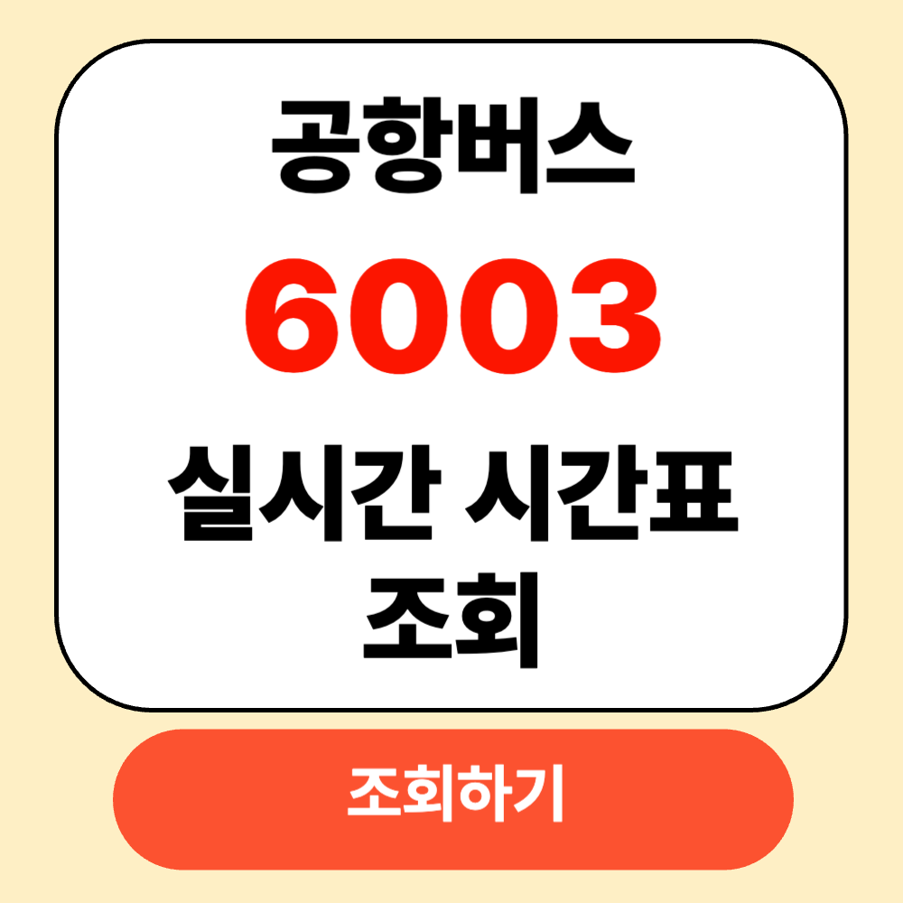6003 공항버스 이미지