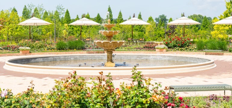 수원 일월·영흥수목원 야간 개장: 체험, 야외공연