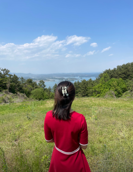 남해양떼목장 양모리학교3