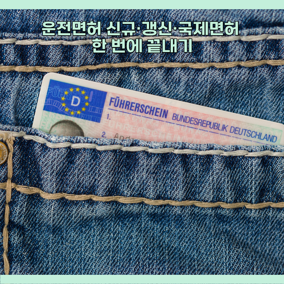 운전면허 발급