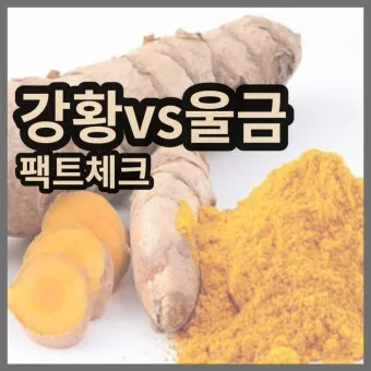 울금 관절 연고 관절통 완화 항염 작용 효능_6