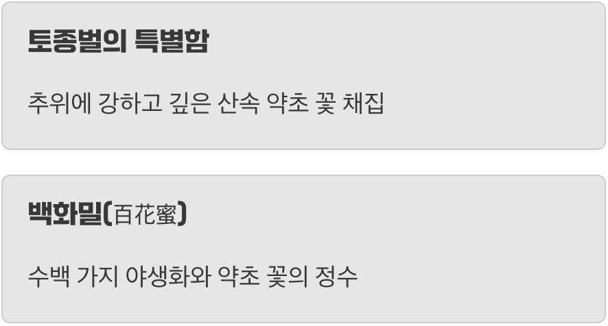 모든 이야기의 시작, 우리의 토종벌