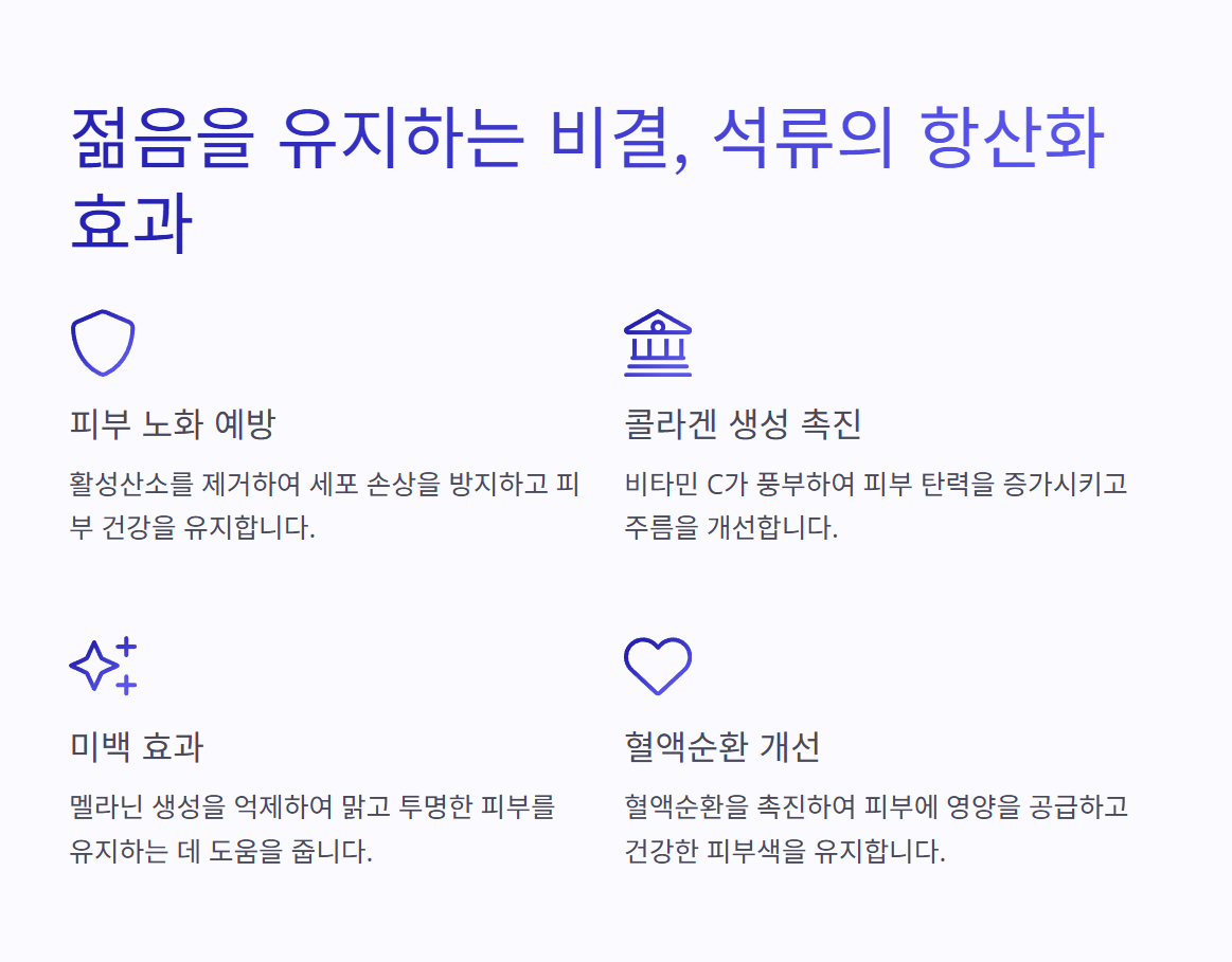 석류-항산화-효능