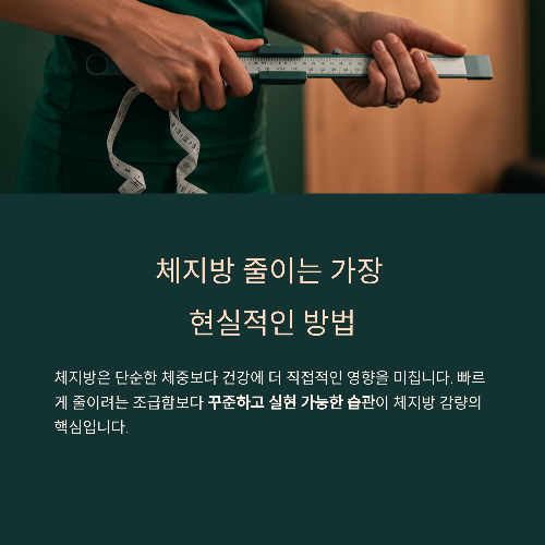 체지방 줄이는 가장 현실적인 방법: 실패 없는 습관 루틴 공개