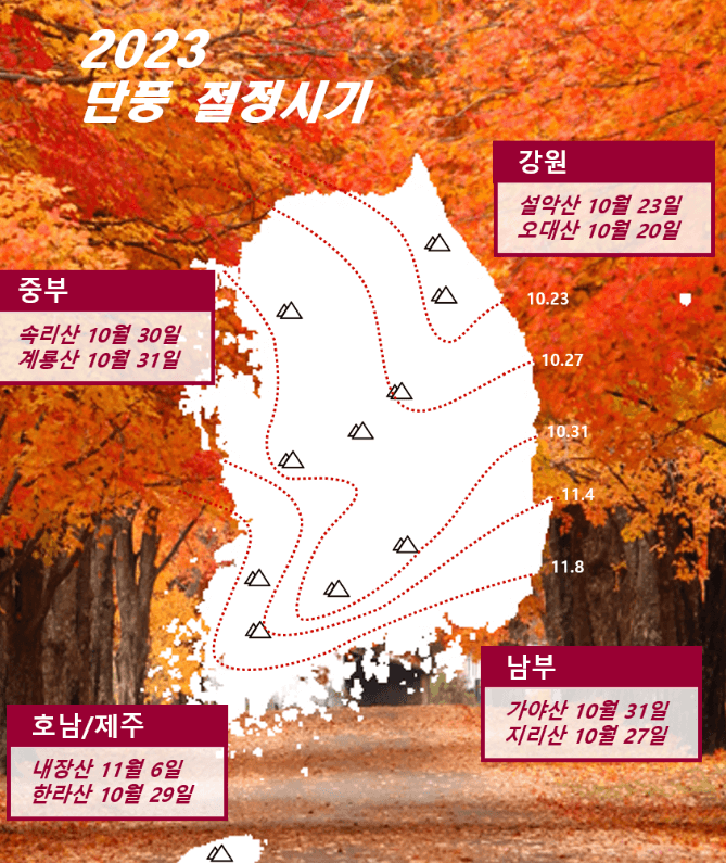 2023 단풍 지도
