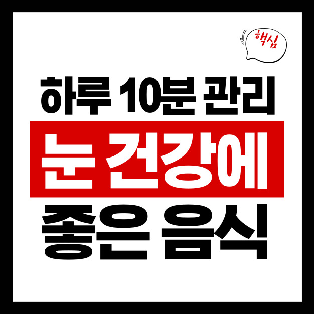 블루베리만 먹으면 안 됩니다|눈 건강에 진짜 좋은 식품 리스트