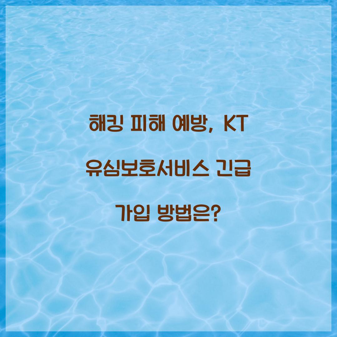 해킹 피해 예방: KT 유심보호서비스 긴급 가입 절차