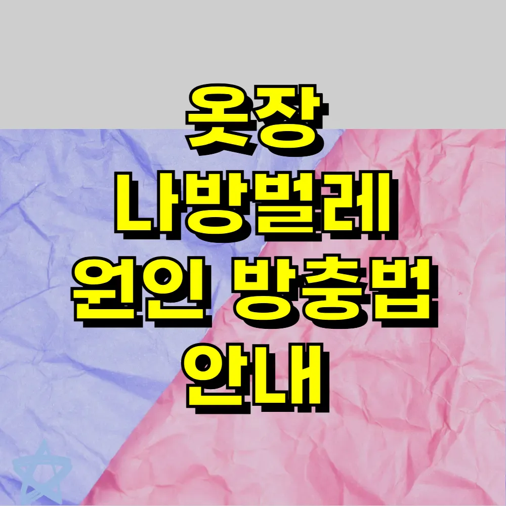 옷장 나방벌레 원인 방충법 안내