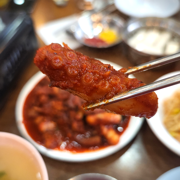 통통한_낙지