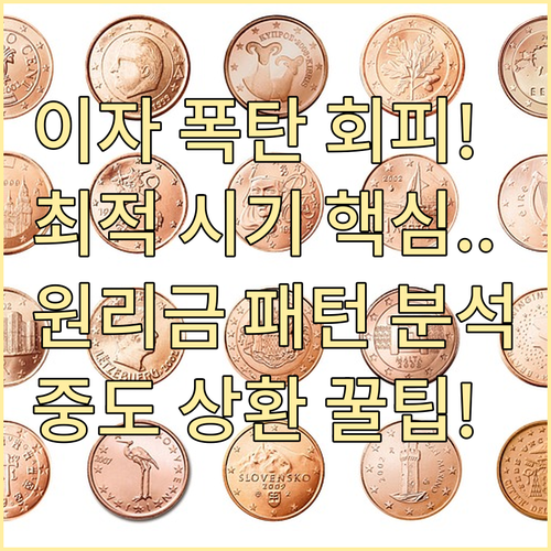 원리금 상환 패턴 분석 할부 중도 상..
