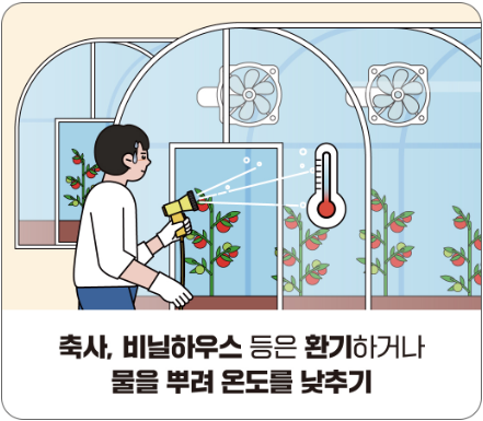 더위 먹었을 때 증상|온열질환증상 초기 대응법
