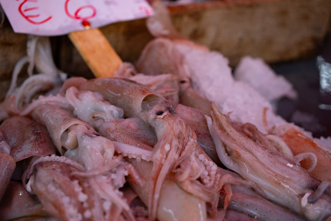 Squid