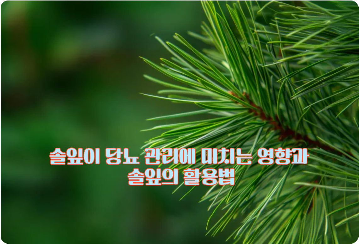 솔잎의 주요 성분과 효능