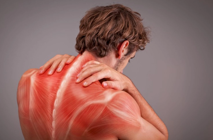 섬유근육통 증상 진단 치료법 및 섬유근육통 어느 병원?